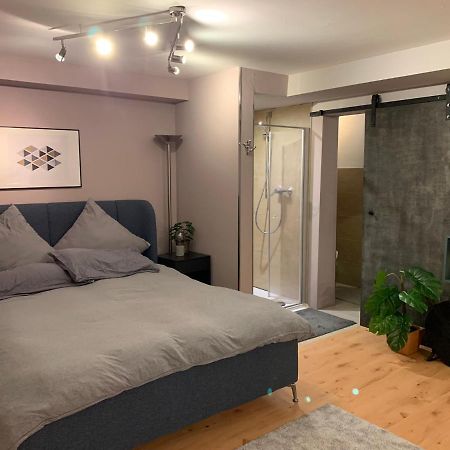 Top Studio Appartement Im Gruenen Nah Phantasialand Brühl 外观 照片