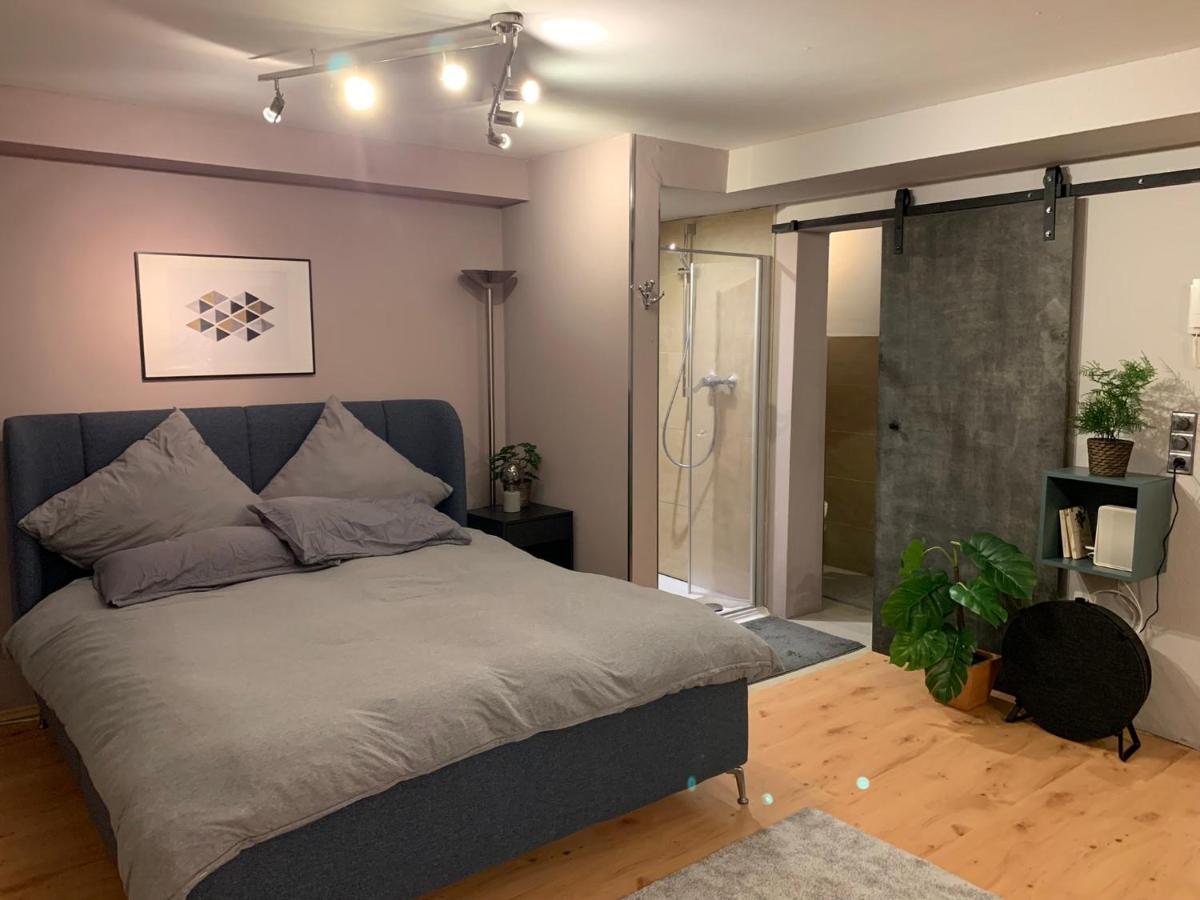 Top Studio Appartement Im Gruenen Nah Phantasialand Brühl 外观 照片